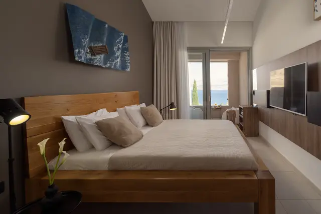 Bedroom with television wall