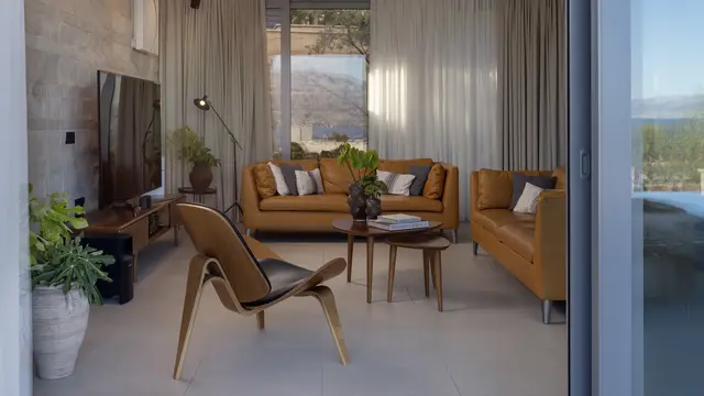 Living room with leather sofas