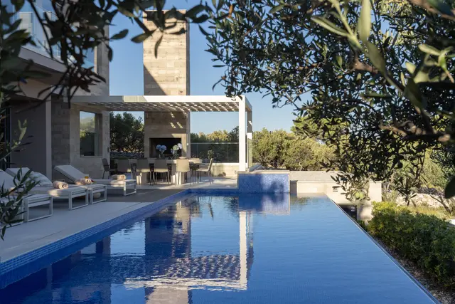 The pool framed by olive trees