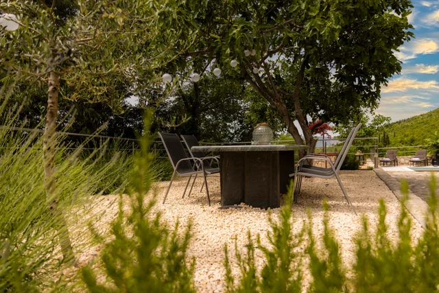 Table under the fig tree