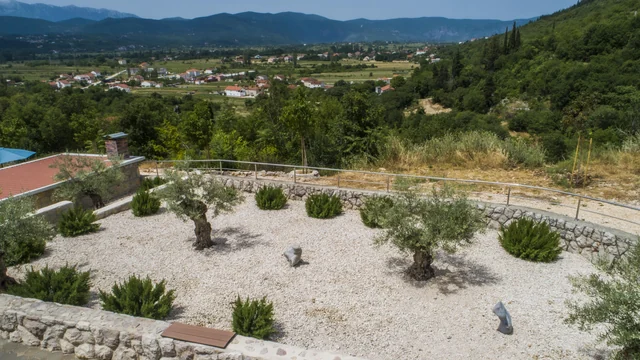 View from the garden